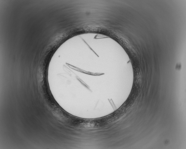 X0000116620687201001081232