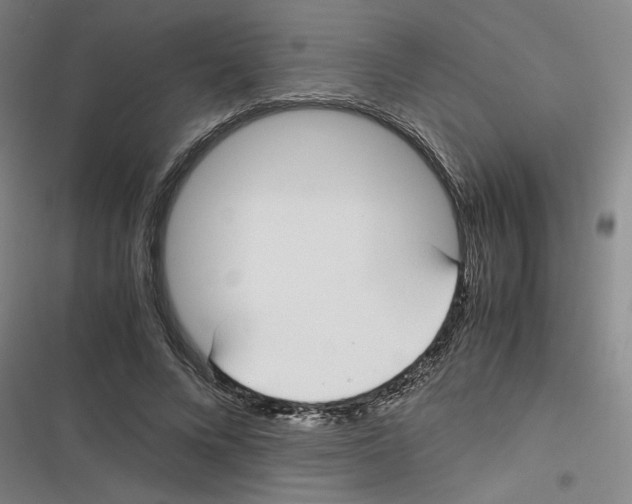 X0000116620688201001081232