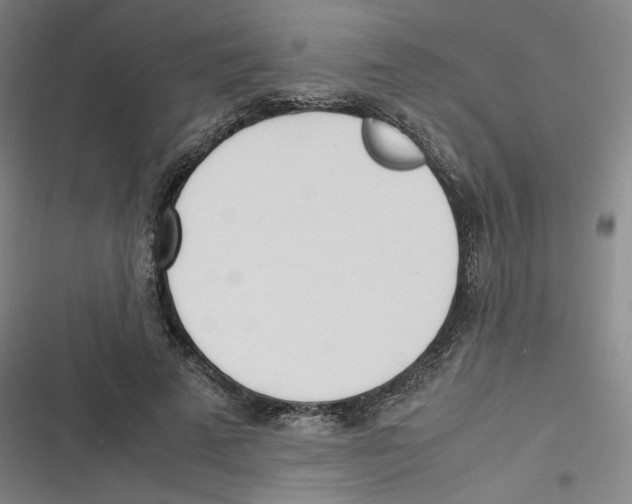 X0000116620689201001081232