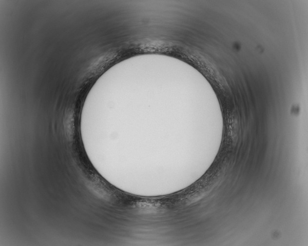 X0000116620690201001081232