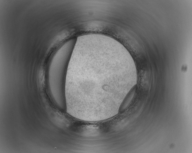 X0000116620692201001081232