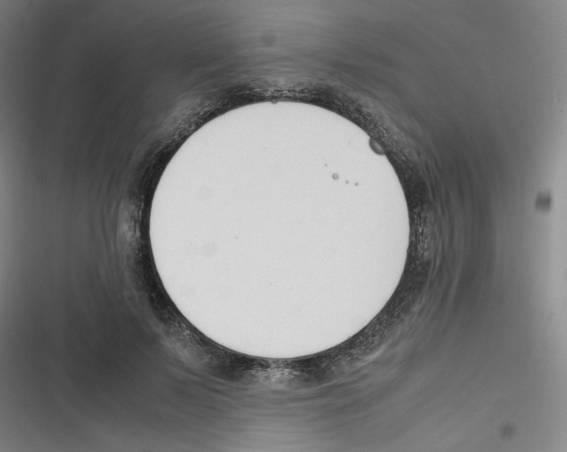 X0000116620695201001081232