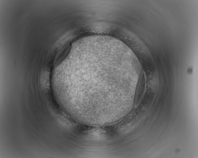 X0000116620696201001081232