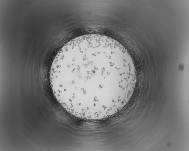 X0000116620699201001081232