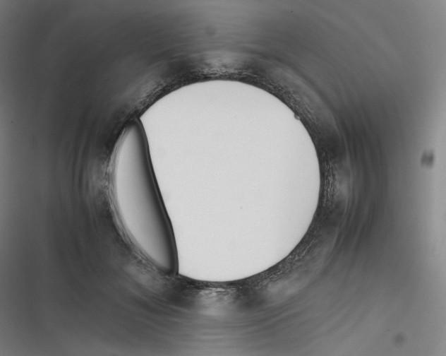 X0000116620700201001081232