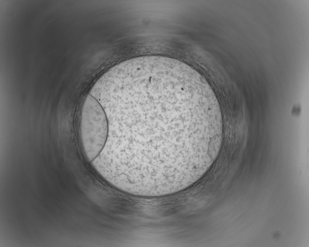 X0000116620701201001081232