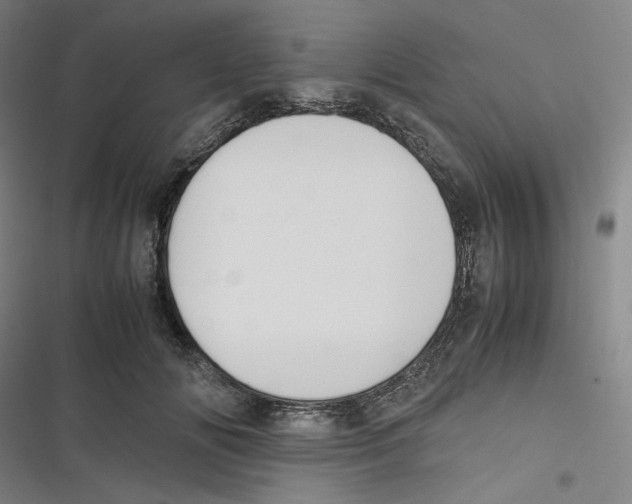 X0000116620702201001081232