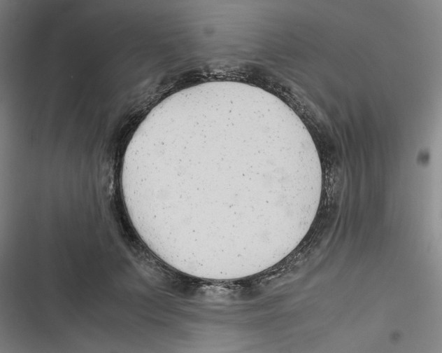 X0000116620703201001081232