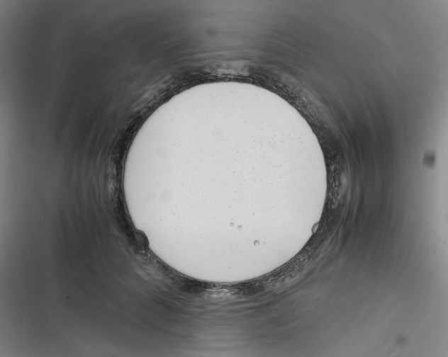 X0000116620704201001081232