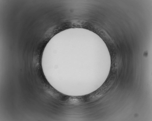 X0000116620706201001081232