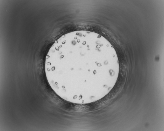 X0000116620707201001081232