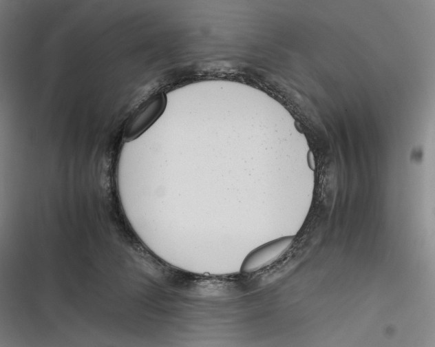 X0000116620708201001081232