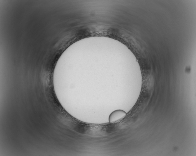 X0000116620709201001081232