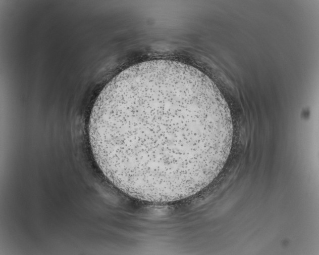 X0000116620711201001081232