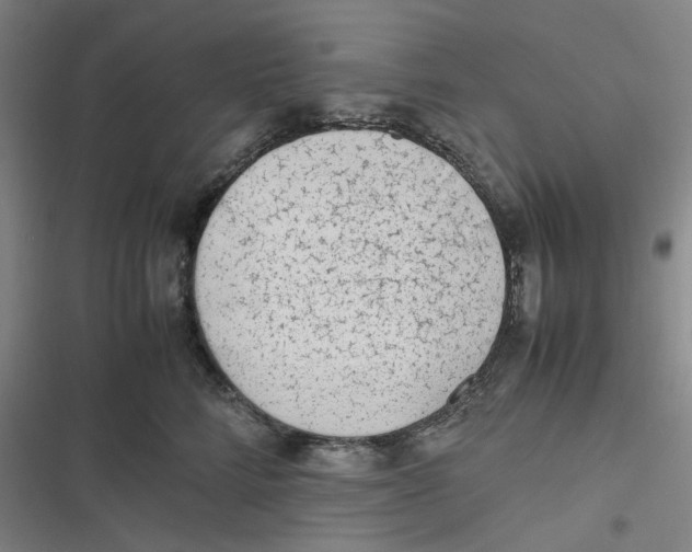 X0000116620712201001081232