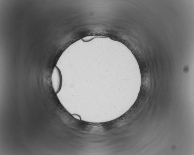 X0000116620715201001081232