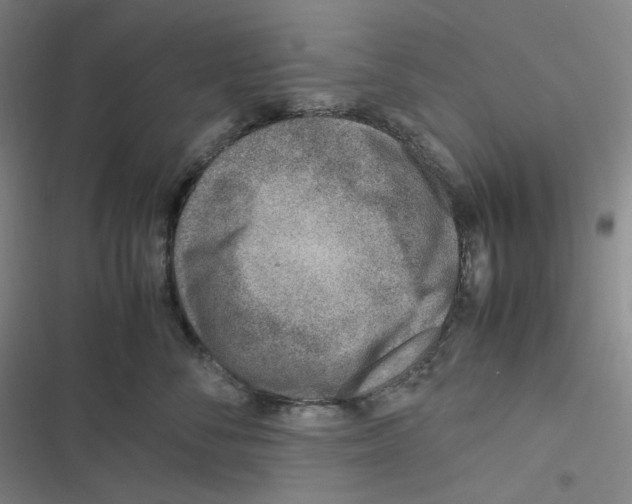 X0000116620716201001081232