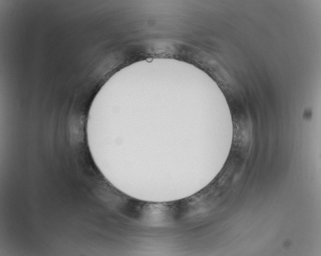 X0000116620717201001081232