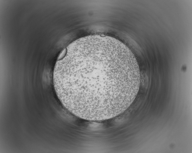 X0000116620718201001081231