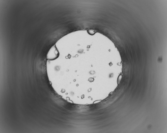 X0000116620719201001081231