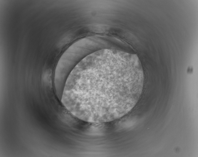 X0000116620720201001081231