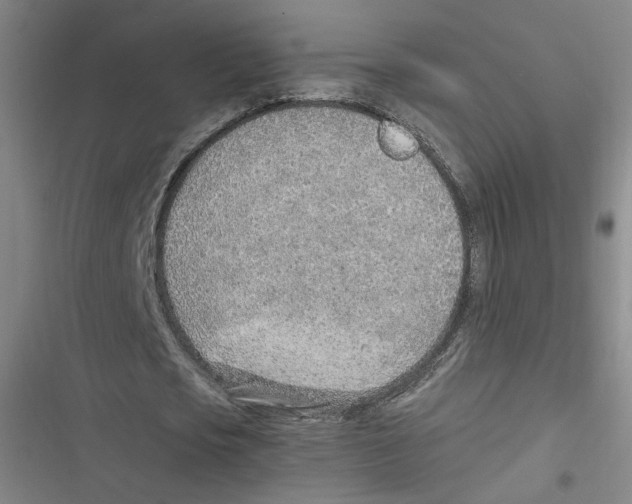 X0000116620721201001081231