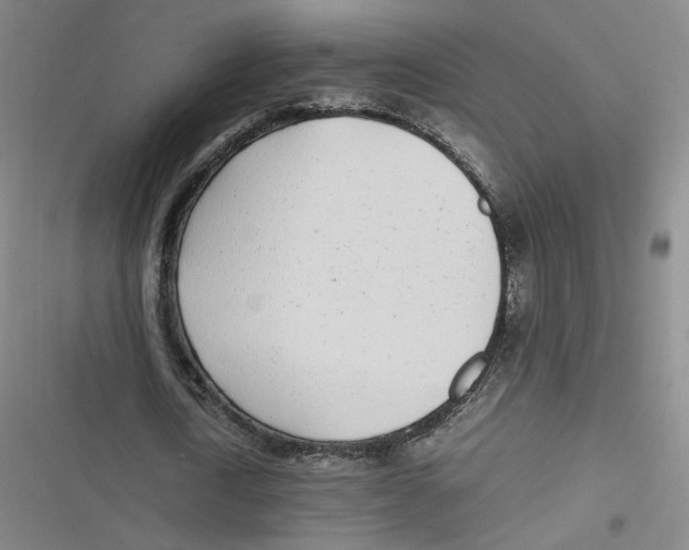 X0000116620722201001081231