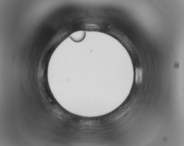 X0000116620723201001081231