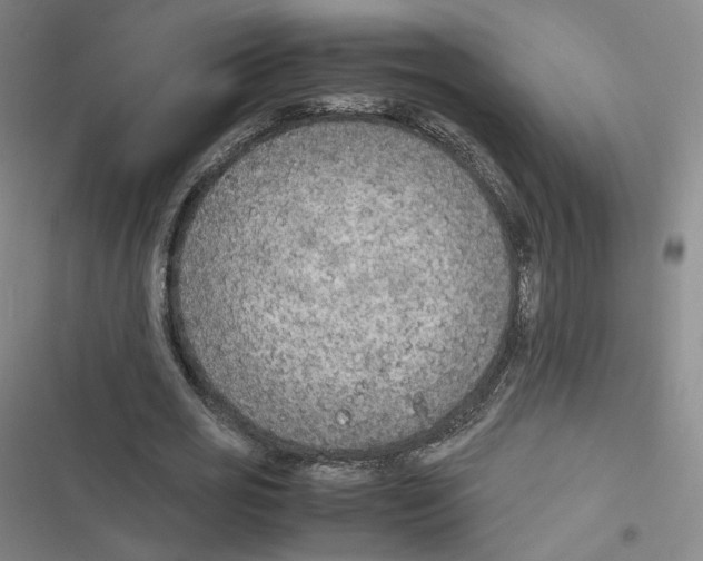 X0000116620725201001081231