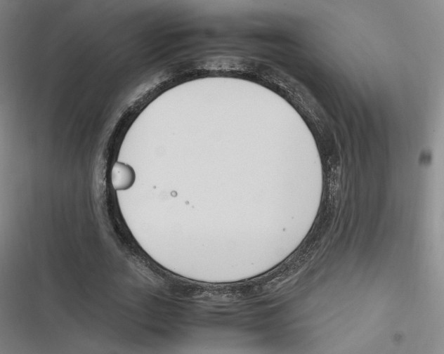 X0000116620727201001081231