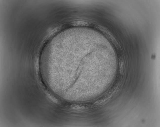 X0000116620729201001081231