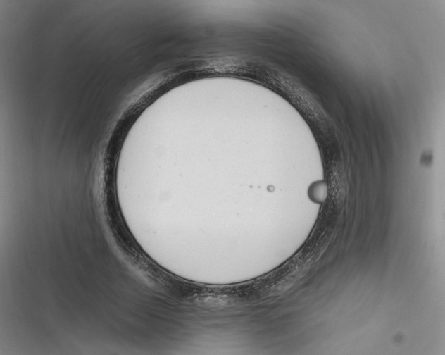 X0000116620730201001081231