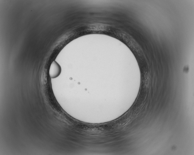 X0000116620731201001081231