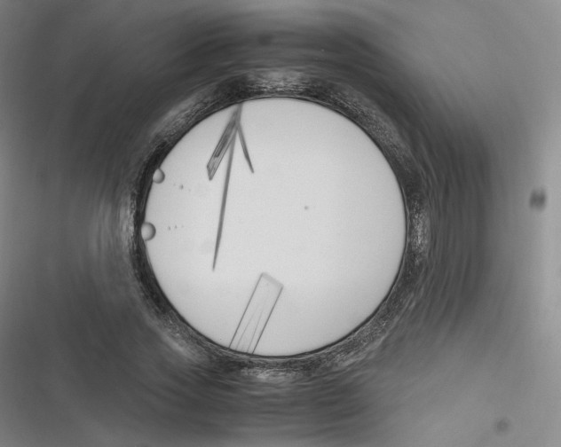 X0000116620733201001081231