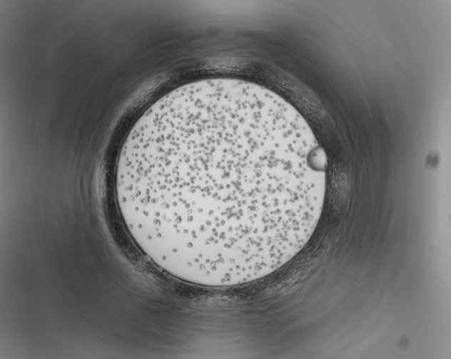 X0000116620734201001081231