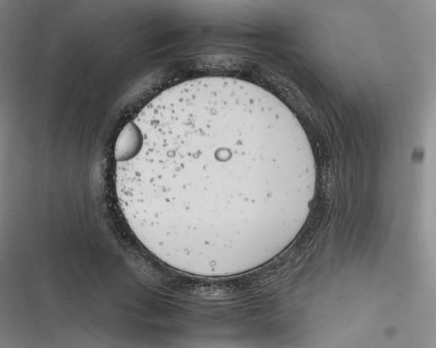 X0000116620735201001081231