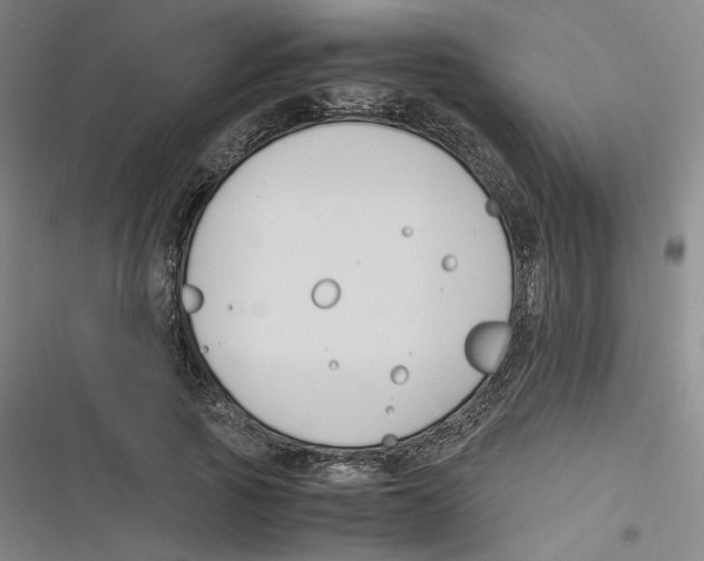 X0000116620737201001081231