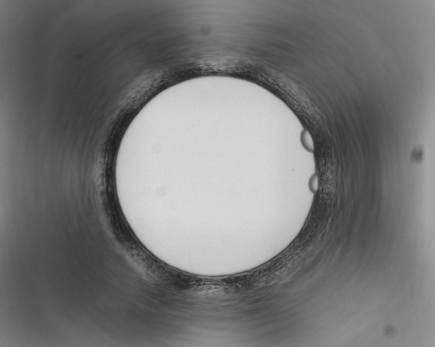 X0000116620738201001081231