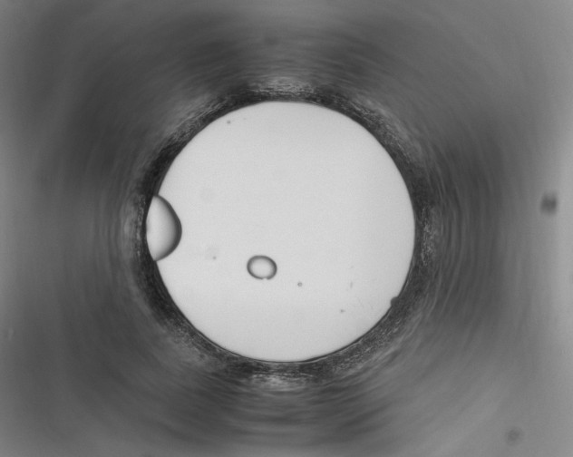 X0000116620739201001081231