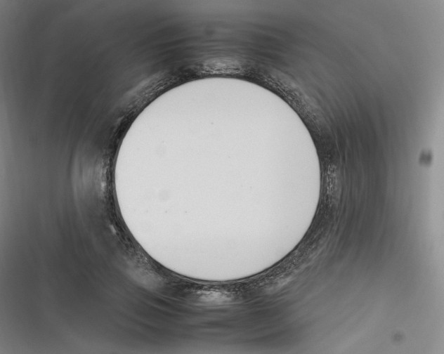 X0000116620741201001081231