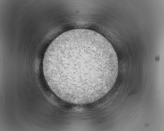 X0000116620742201001081231