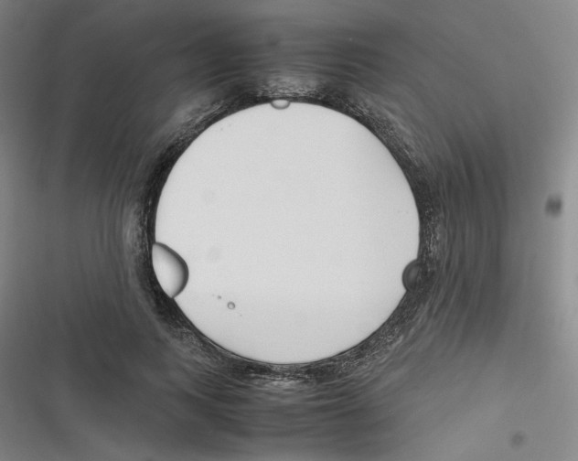 X0000116620743201001081231