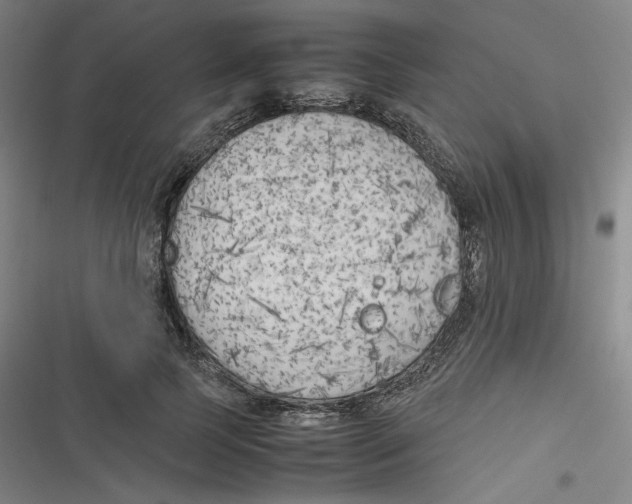 X0000116620745201001081231