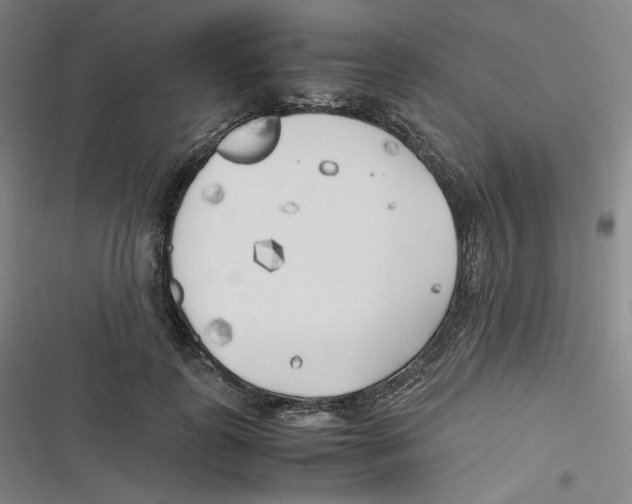 X0000116620747201001081231