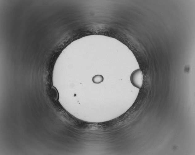 X0000116620750201001081231