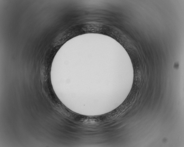 X0000116620751201001081231