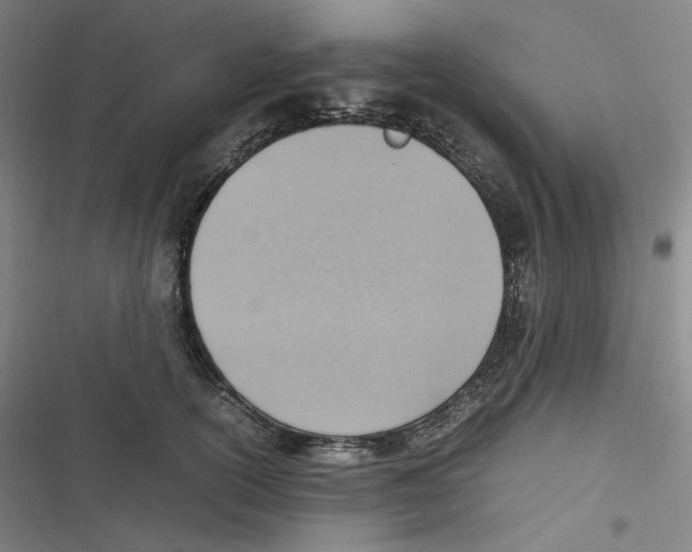 X0000116620754201001081231