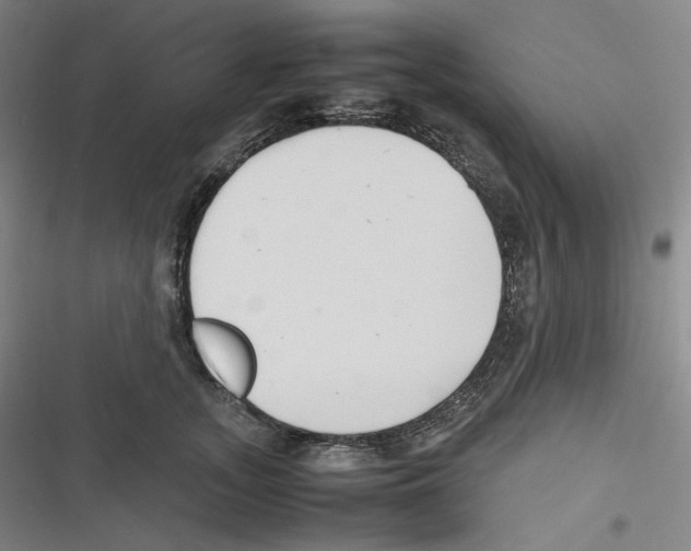 X0000116620755201001081231