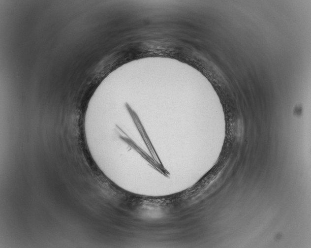 X0000116620757201001081231