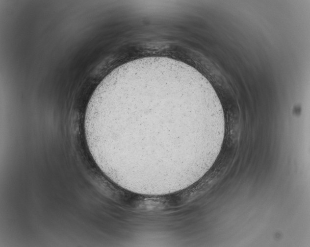 X0000116620758201001081231